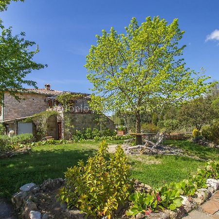 Ca'Novae - Tuscany Farmhouse Montieri Екстер'єр фото